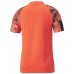 Мужская футболка Puma Individualfinal Wc Jersey Fiery Orange L