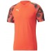 Мужская футболка Puma Individualfinal Wc Jersey Fiery Orange XL