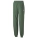 Женские спортивные штаны Puma Classics Sweatpants Fl Deep Forest L