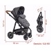 Carucior BabyGo 3in1 Simplex Grey Melange (BGO-6701)